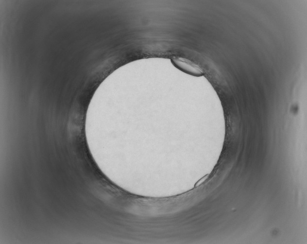 X0000116510033201001201454