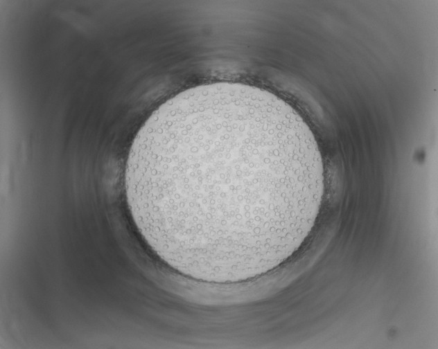 X0000116510034201001201454