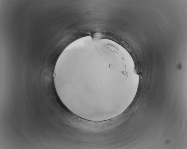 X0000116510035201001201454