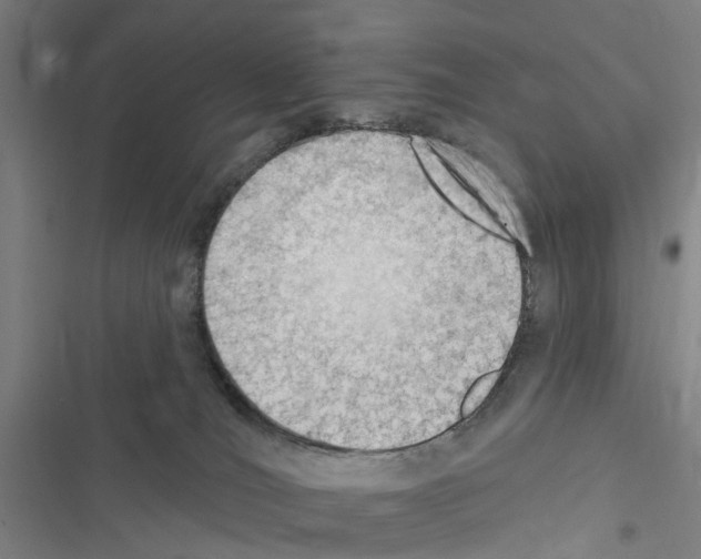 X0000116510036201001201454