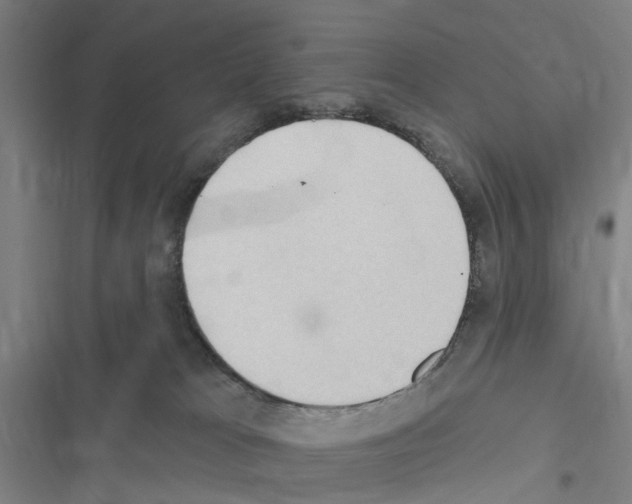 X0000116510037201001201454