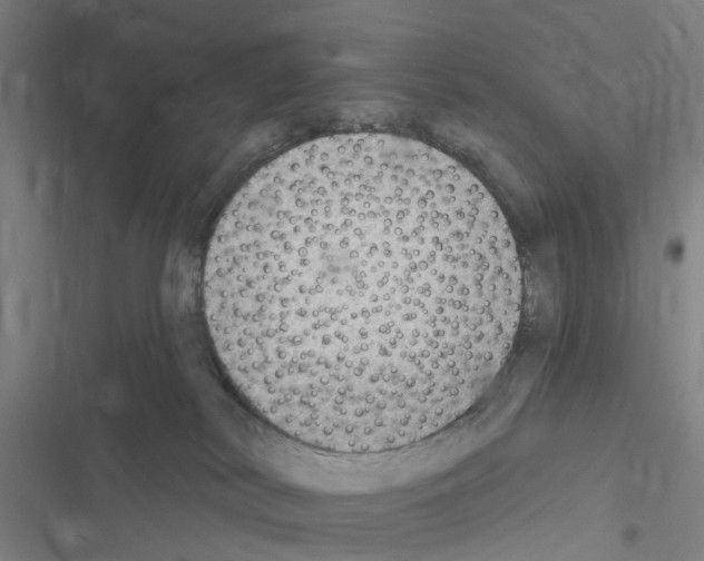 X0000116510038201001201454