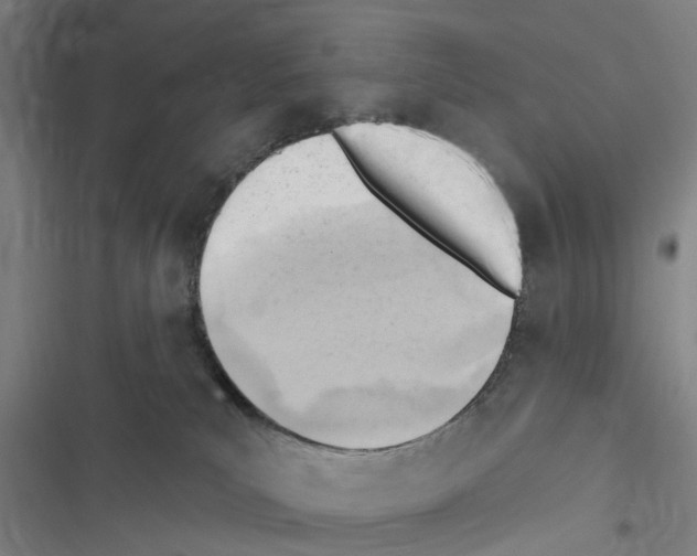 X0000116510039201001201454