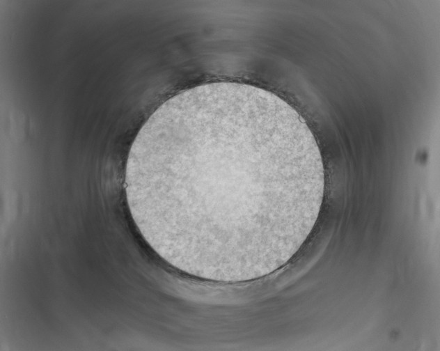 X0000116510040201001201454