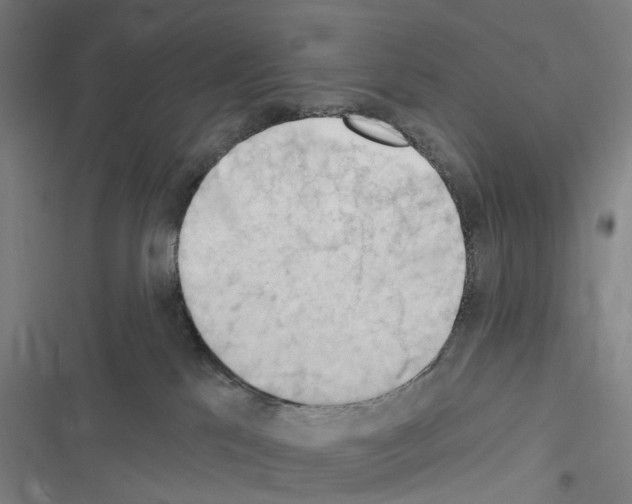 X0000116510041201001201454