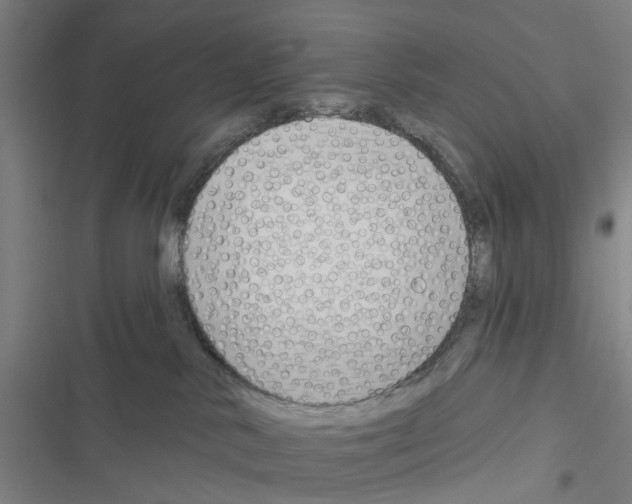 X0000116510042201001201454