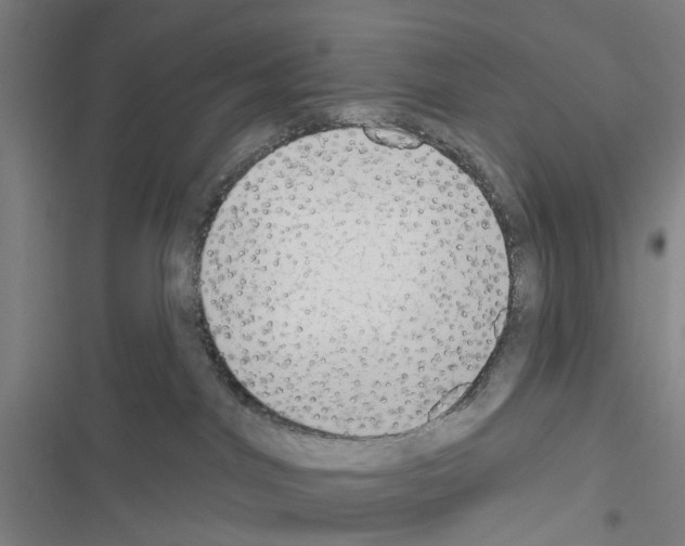 X0000116510044201001201454