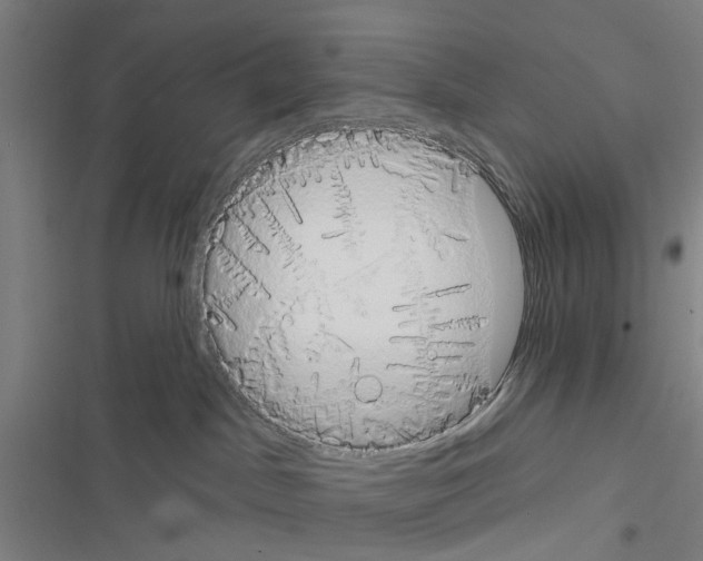 X0000116510045201001201454