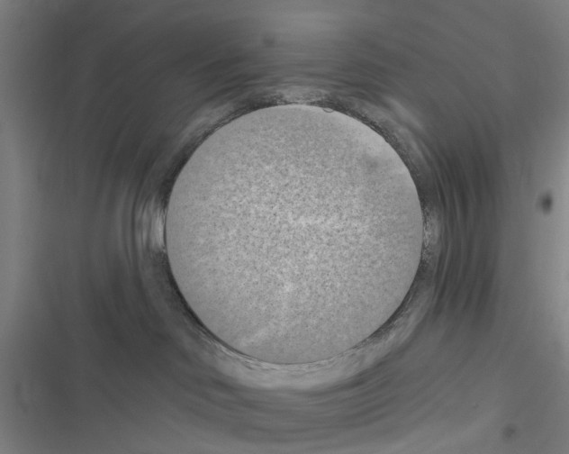 X0000116510046201001201454