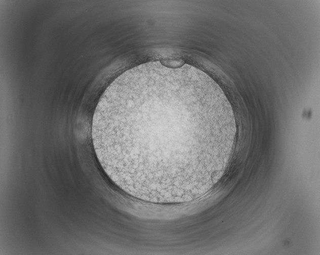 X0000116510048201001201454