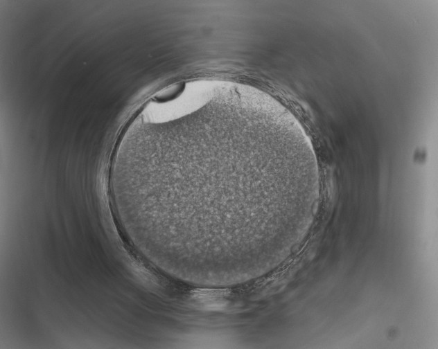 X0000116510051201001201453