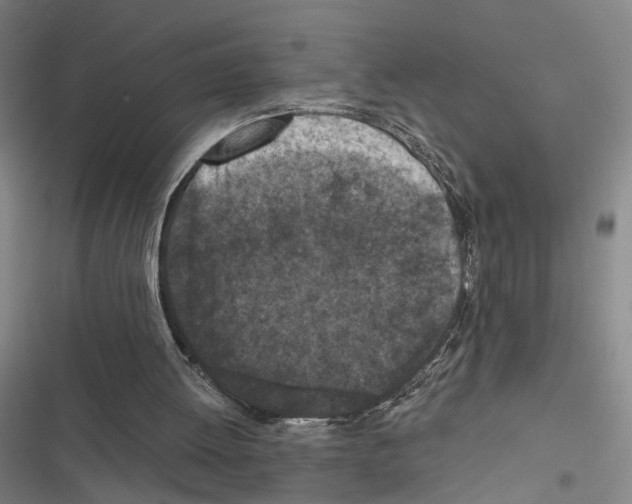 X0000116510052201001201453