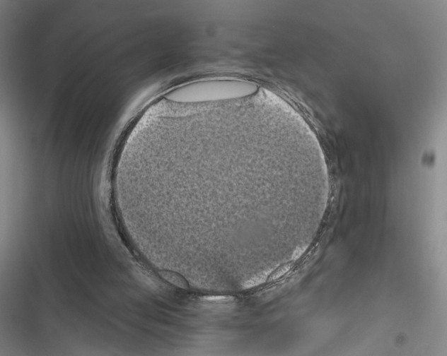 X0000116510053201001201453