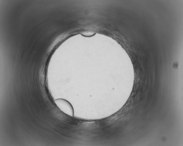 X0000116510054201001201453