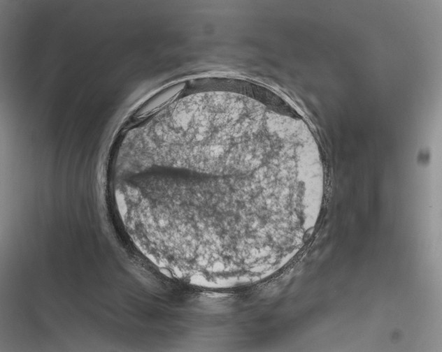 X0000116510055201001201453