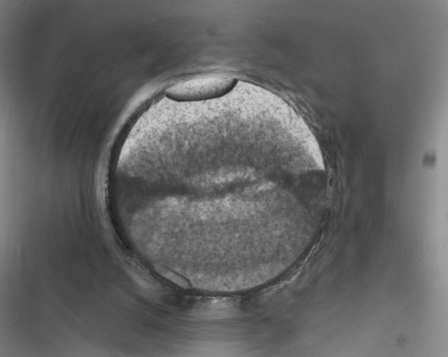 X0000116510056201001201453
