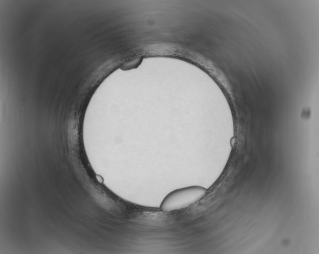 X0000116510057201001201454