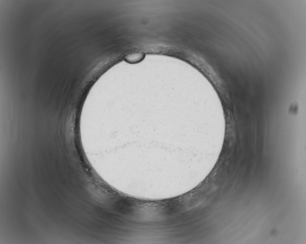 X0000116510058201001201454