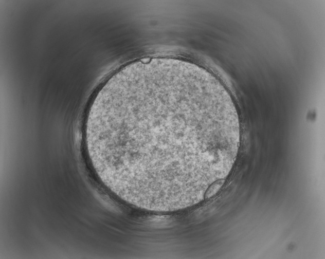 X0000116510059201001201454