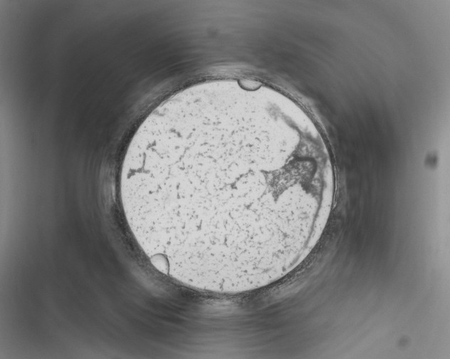 X0000116510061201001201454