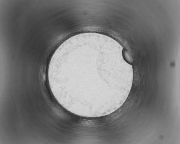 X0000116510062201001201454