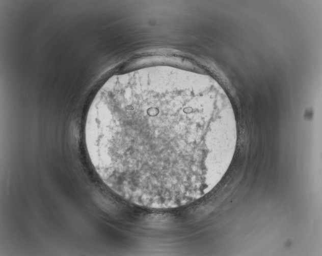 X0000116510063201001201454