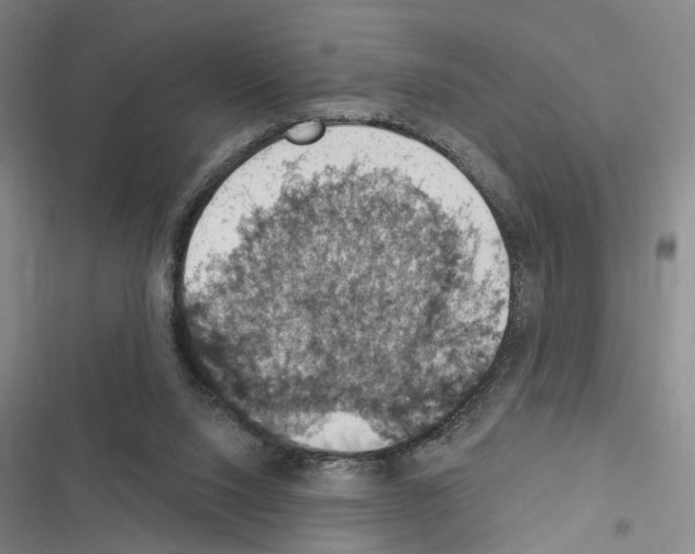 X0000116510064201001201454
