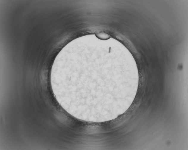 X0000116510066201001201454
