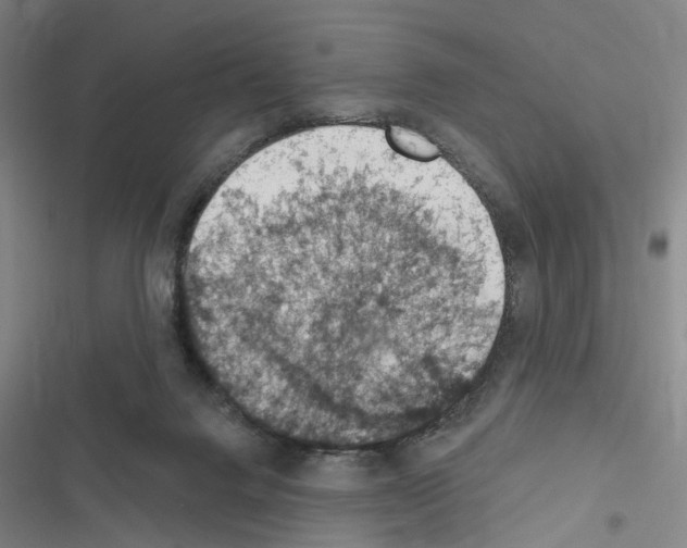X0000116510072201001201454