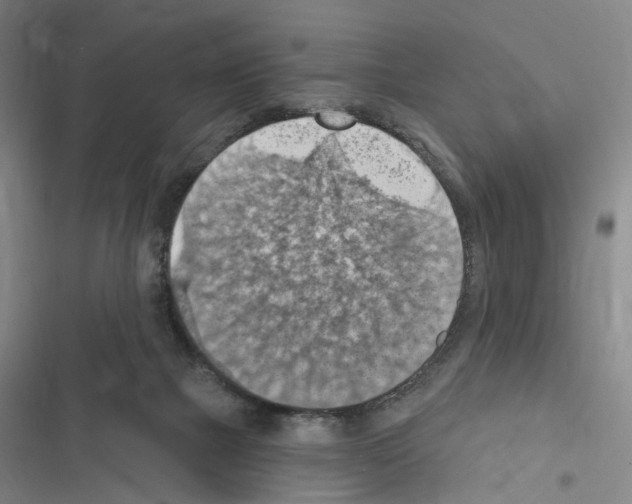 X0000116510073201001201454