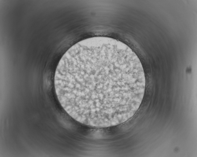 X0000116510074201001201454