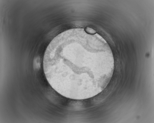 X0000116510075201001201454