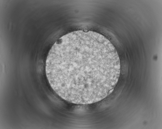 X0000116510077201001201454