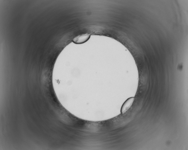 X0000116510079201001201454