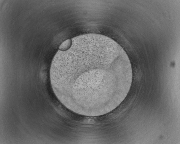 X0000116510080201001201454