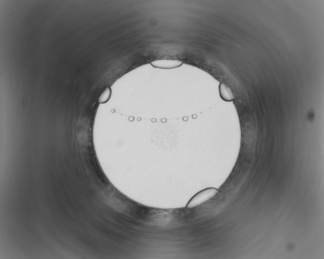 X0000116510083201001201454
