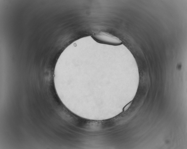 X0000116510084201001201454