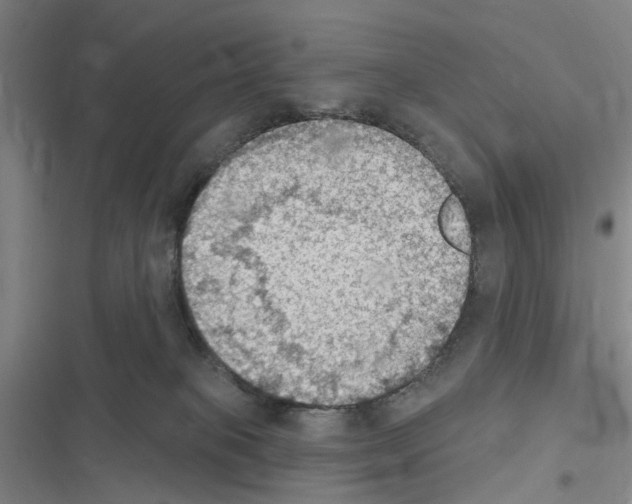 X0000116510085201001201454