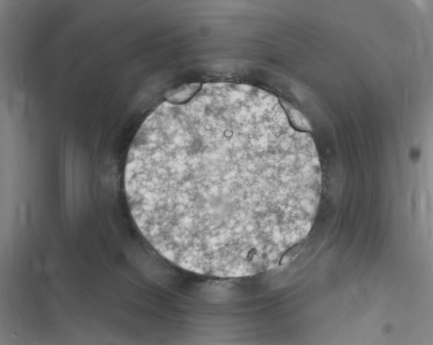X0000116510086201001201454