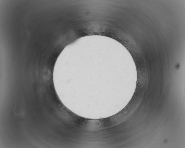 X0000116510087201001201454