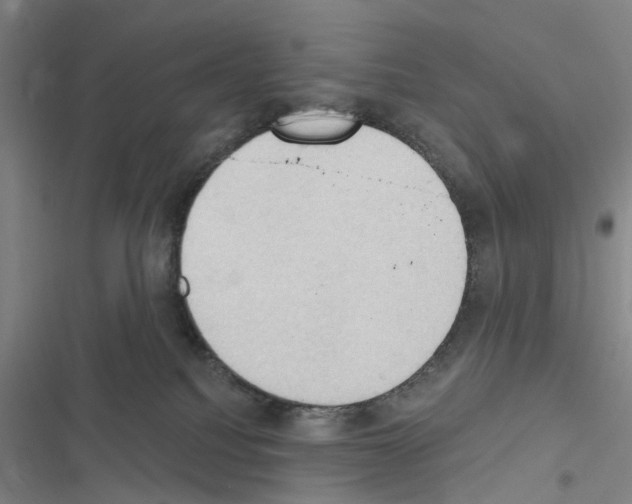 X0000116510088201001201454