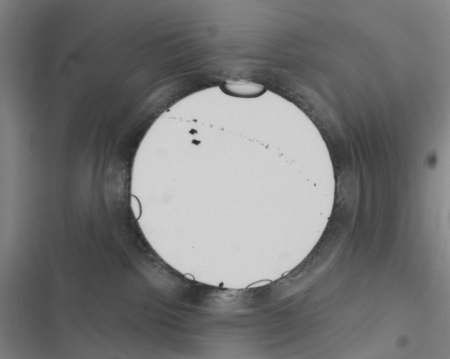 X0000116510092201001201454