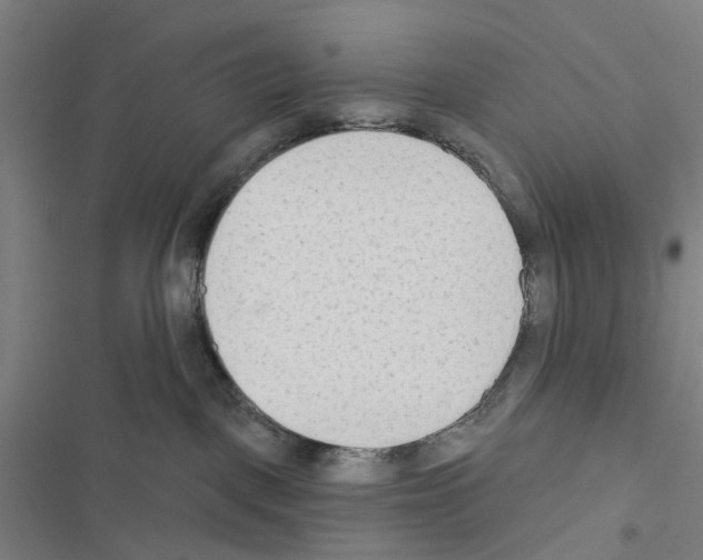 X0000116510093201001201454