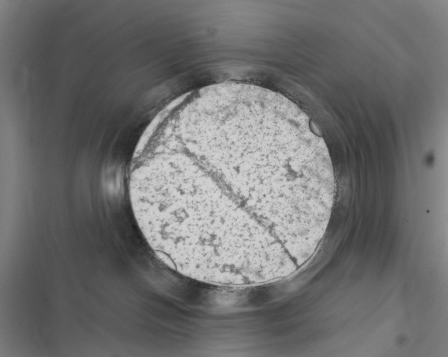 X0000116510094201001201454