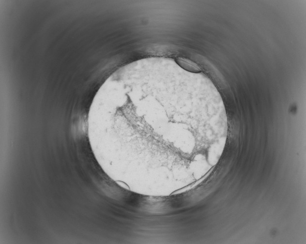 X0000116510095201001201454