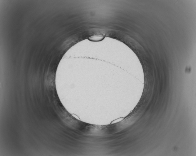 X0000116510096201001201454