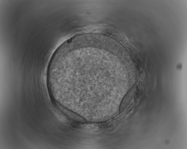 X0000116510100201001201453