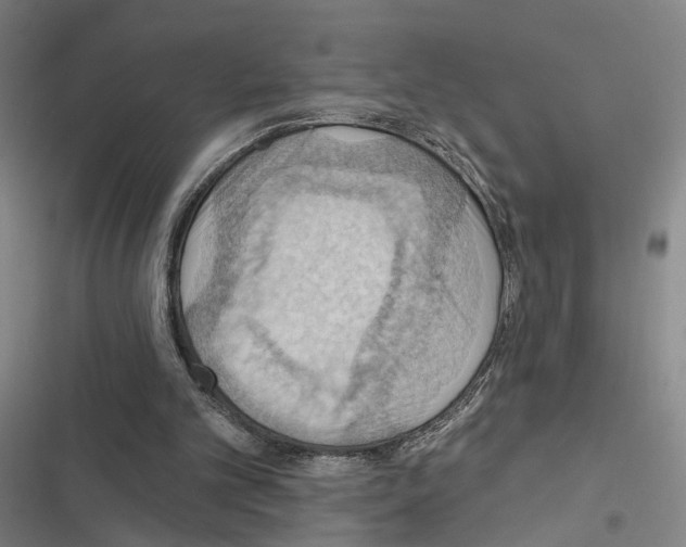 X0000116510101201001201453
