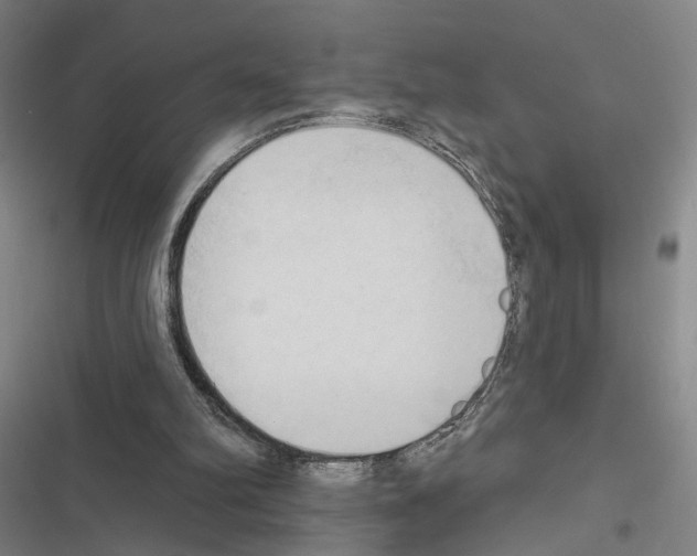 X0000116510102201001201453