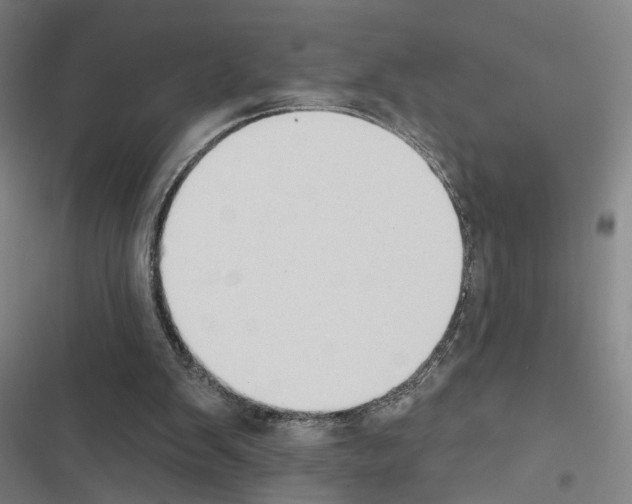 X0000116510103201001201453